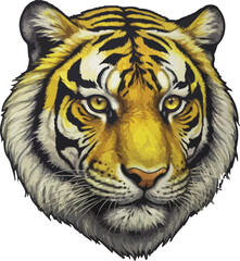 tiger head vector