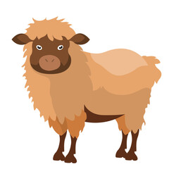 illustration of cartoon sheep