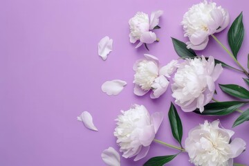 Fototapeta premium Floral frame with white peonies on beige stone background for wedding, Mothers day, Womans day card. Flower composition with place for text, copy space. Flat lay, top view