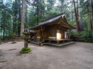 龍穴神社の拝殿と木々の風景