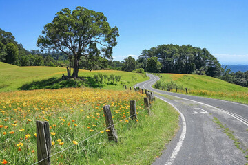 Fototapeta premium A road with a fence on the side and a tree in the middle