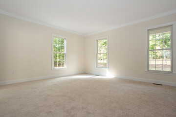 Bright Empty Room with Carpet and Windows
