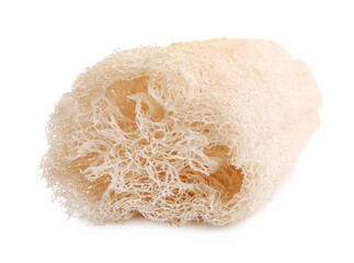Loofah sponge isolated on white. Personal hygiene product
