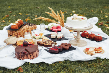 Sweet Indulgence: Array of Desserts on Picnic Blanket