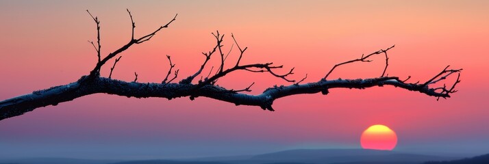 A serene and tranquil sunset captured through the silhouette of a bare tree branch with a vibrant red and orange sky illuminating the horizon - Powered by Adobe