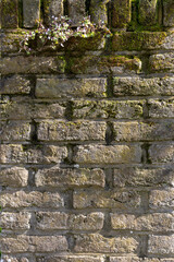 texture of a city wall in a European town
