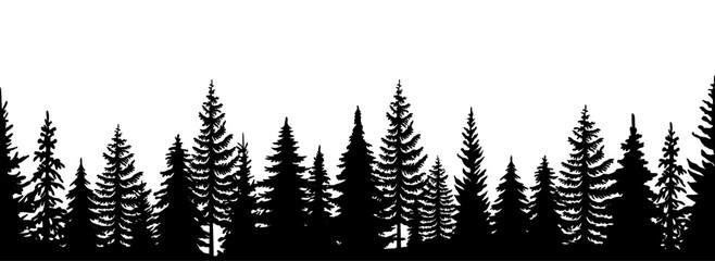 Fototapeta premium Forest silhouette