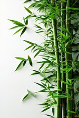 Fototapeta premium Serene Bamboo Forest, ai image generator