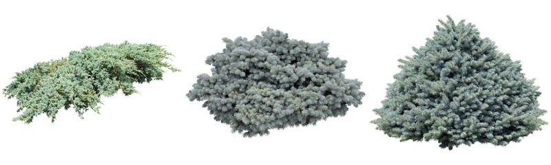シルバーコニファー切り抜きセット透過PNG背景白