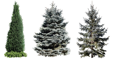 コニファー生垣切り抜きセット透過PNG背景白