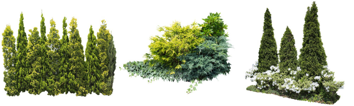 生垣植栽切り抜きセット透過PNG背景白