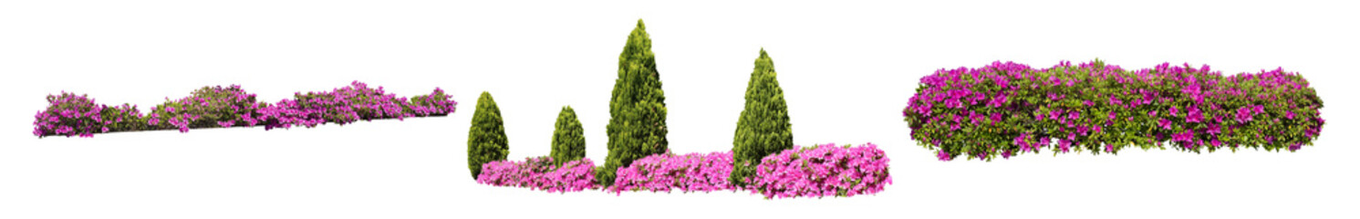 ピンクツツジサツキ樹木切り抜きセット透過PNG背景白