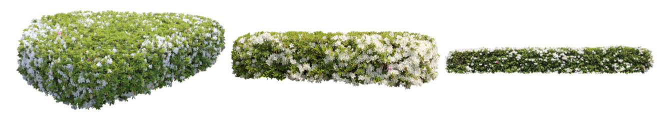 白色ツツジサツキ樹木切り抜きセット透過PNG背景白