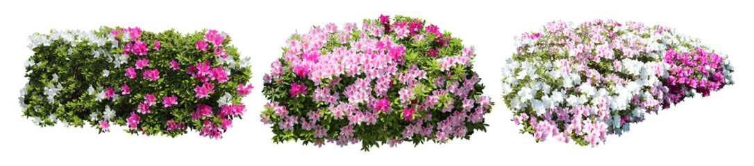 ツツジサツキ樹木切り抜きセット透過PNG背景白