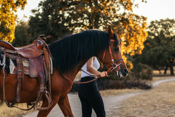 Obraz premium Young woman in hat walking with her horse in the countryside at sunset
