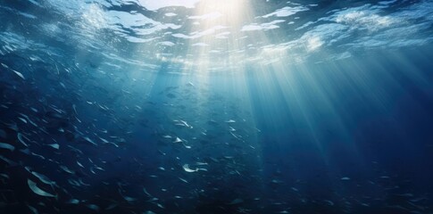 Fototapeta premium underwater texture of a school of small and white fish swimming in the blue ocean