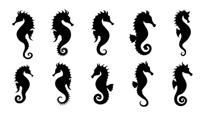 set of seahorse silhouette vector design