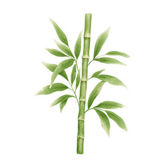 bamboo leaf