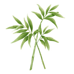 bamboo leaf