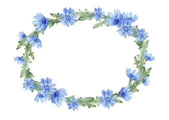 Floral watercolor wreath with blue chicory flowers and green leaves. Hand drawn 