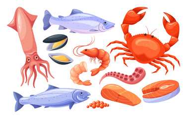 Seafood And Fish Species, Including Crab, Squid, Salmon, Shrimp, Caviar And Mussels In A Colorful Cartoon Vector Style