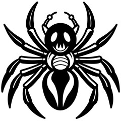 black and white spider