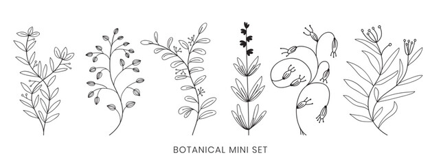 Set hand drawn curly grass and flowers on white isolated background. Botanical illustration