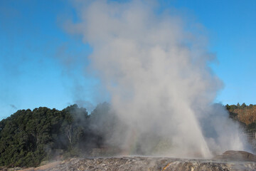 geyser in park national park