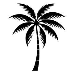 Minimalistic coconut tree black and white vector art silhouette illustration