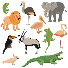Obraz premium vector drawing set of tropical animals and birds isolated at white background, hand drawn illustration
