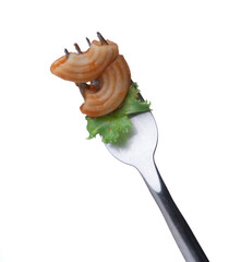 Fork with macaroni with tomato sauce isolated on white background.