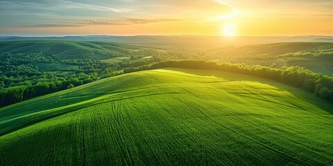 wide banner Aerial view of cultivated agricultural farming land with vivid green color at sunset with copyspace area, Generative AI 