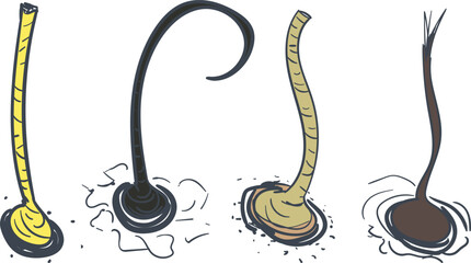 Four types of cartoon hair. One hair is damaged or has a torn end, the second hair is cut or trimmed, the third hair is curled.