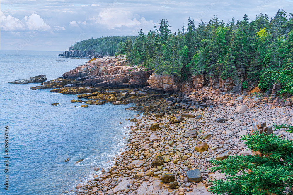 Poster acadia shoreline