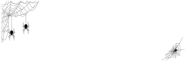 spider web halloween day