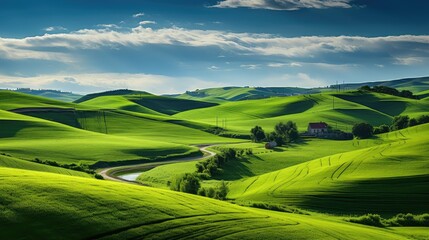 Obraz premium countryside nature crop farm