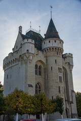 Fototapeta premium castle in the country
