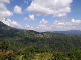 Obraz premium Lush Green Mountain Landscape