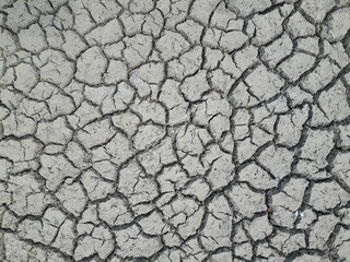 Cracked Earth Texture
