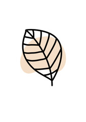 Illustration graphic floral art design minimalism decoration icons flower natural