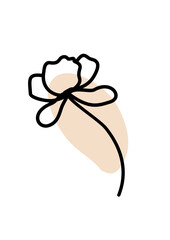 Illustration graphic floral art design minimalism decoration icons flower natural