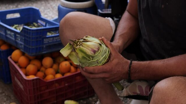Hands peeling artichokes. The man who chops the artichokes in market.
