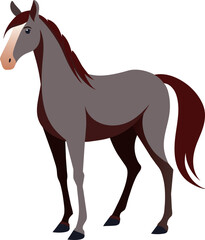 beautiful elegant horse illustration vector