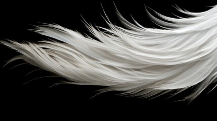 Obraz premium bold silver brushstroke