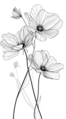 Fototapeta premium Abstract Minimalistic Boho Line Art with Monochromatic Background