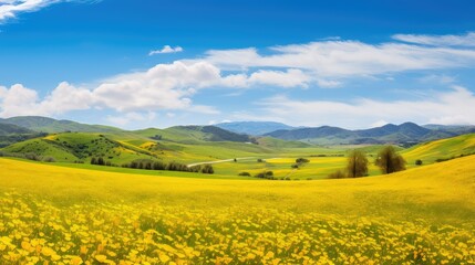 Fototapeta premium blooming yellow spring background