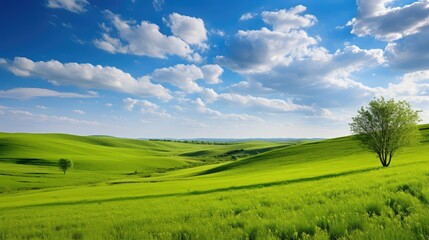 harmony sunny landscape