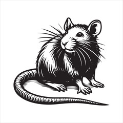 Rat Vector, illustration Bundle 2024