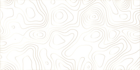 Abstract design with black and white abstract papercut and multi-layer cutout geometric pattern on vector Topographic canyon geometric map relief texture with curved layers beautiful design.