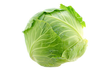 Fresh Green Cabbage Isometric on white background
